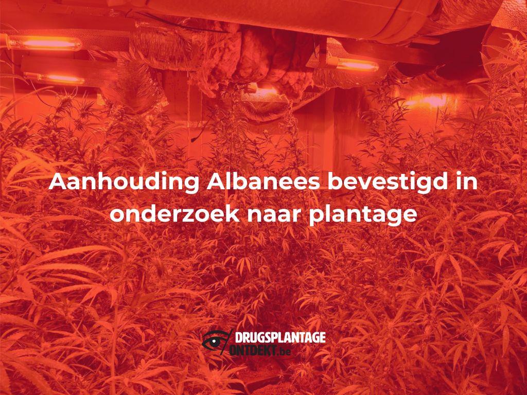 Balen-Dessel-Mol - Aanhouding Albanees bevestigd in onderzoek naar plantage